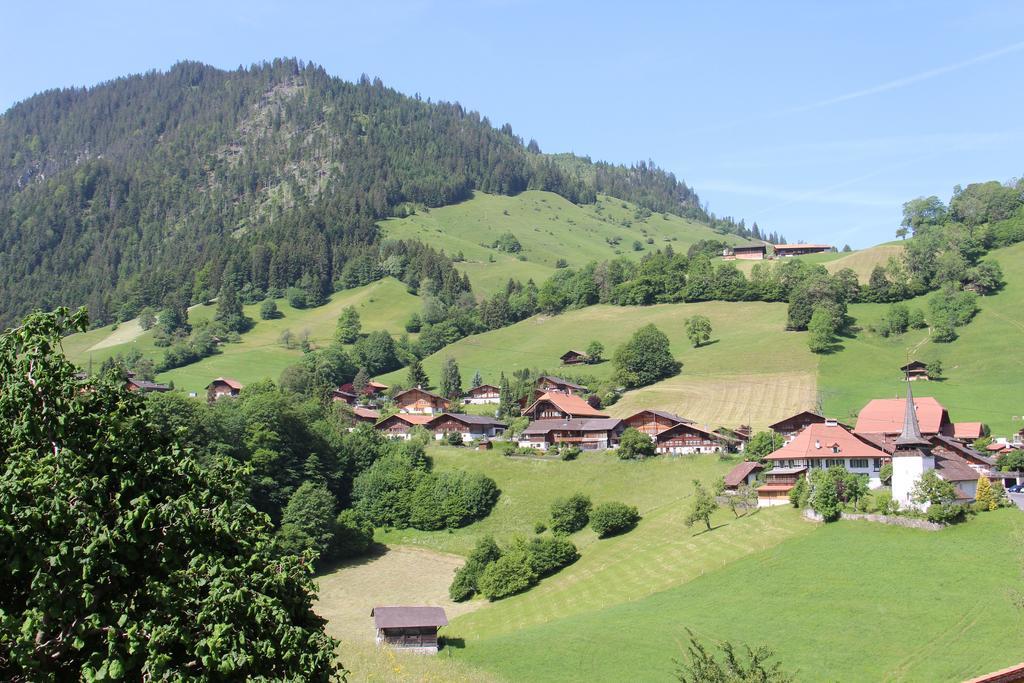 Chalet Park Apartment Mit Sauna Hamam Diemtigen ห้อง รูปภาพ