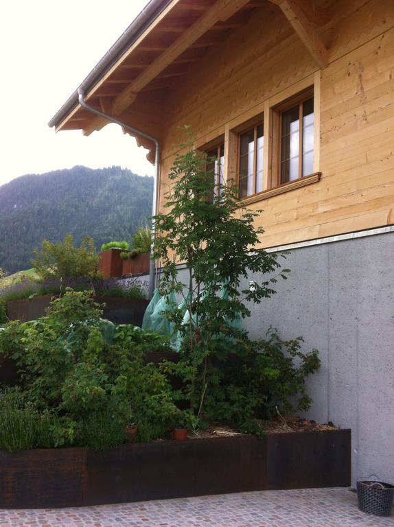 Chalet Park Apartment Mit Sauna Hamam Diemtigen ห้อง รูปภาพ