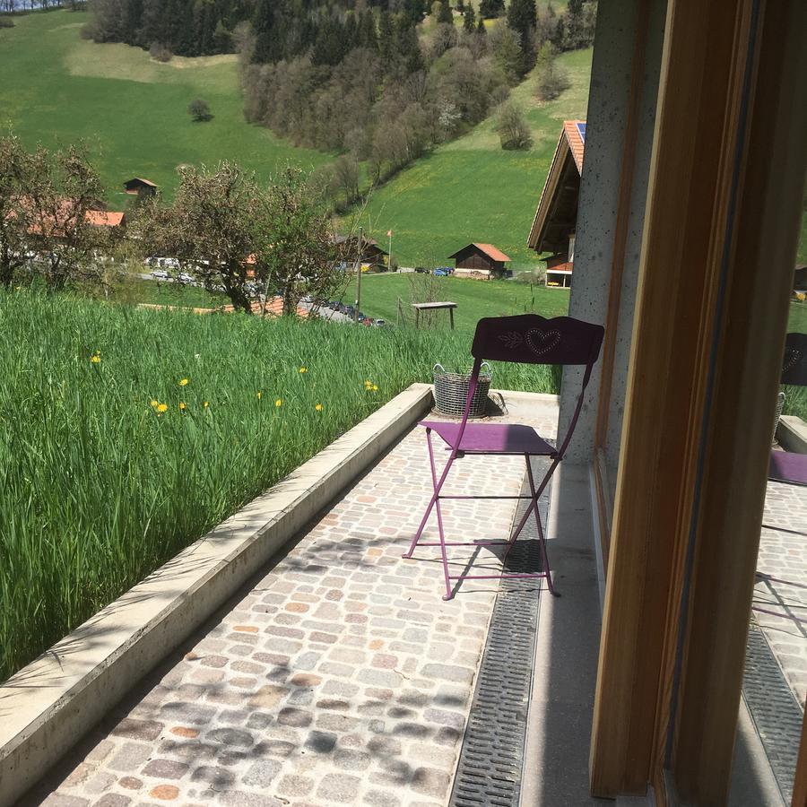 Chalet Park Apartment Mit Sauna Hamam Diemtigen ภายนอก รูปภาพ