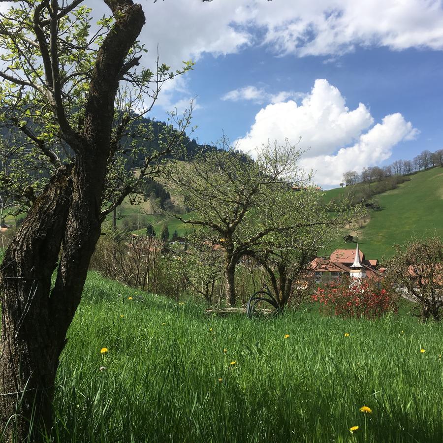 Chalet Park Apartment Mit Sauna Hamam Diemtigen ภายนอก รูปภาพ