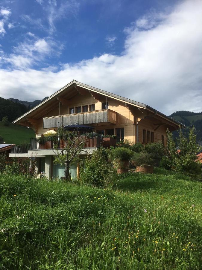 Chalet Park Apartment Mit Sauna Hamam Diemtigen ภายนอก รูปภาพ